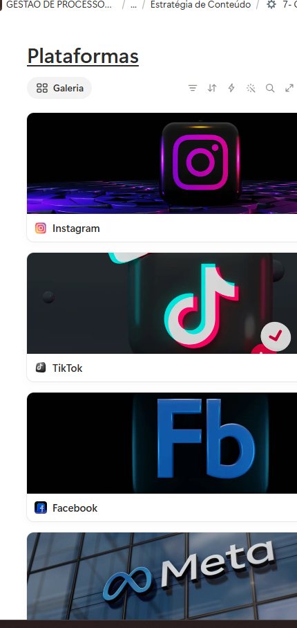 Galeria de plataformas dentro da Oficina de Conteúdo, com os cards de Instagram, TikTok, Facebook e Meta